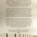 Copertă produs Căminul fetelor orfane (Vol. 1) - gallery small 