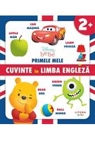 Primele mele cuvinte &icirc;n limba engleză