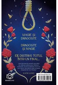 Copertă produs Cercul magic al lunii negre