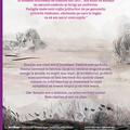 Copertă produs Căpitanul Rosalie - gallery small 