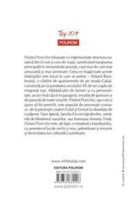 Copertă produs Palatul puricilor