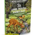 Copertă produs Știi unde trăiesc animalele? - gallery small 