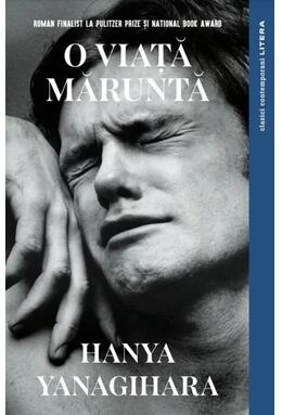 Copertă produs O viață măruntă