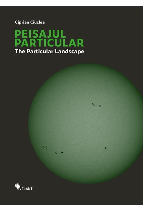 Copertă produs Peisajul particular / The Particular Landscape