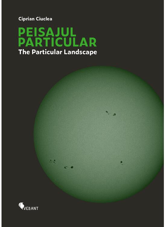 Copertă produs Peisajul particular / The Particular Landscape - gallery big 1