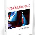 Copertă produs Fenomenologie - gallery small 