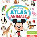 Copertă produs Primul meu atlas - Animale - gallery small 
