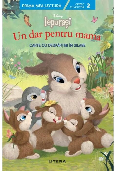 Copertă produs Un dar pentru mama