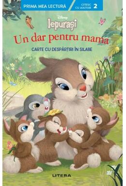 Copertă produs Un dar pentru mama