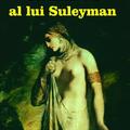 Copertă produs Ultimul vis al lui Suleyman - gallery small 