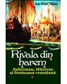 Copertă produs Rivala din harem Vol. I - thumb 1