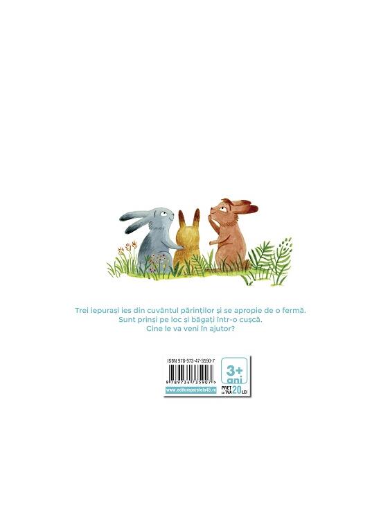 Copertă produs Trei iepurași - gallery big 2