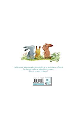 Copertă produs Trei iepurași