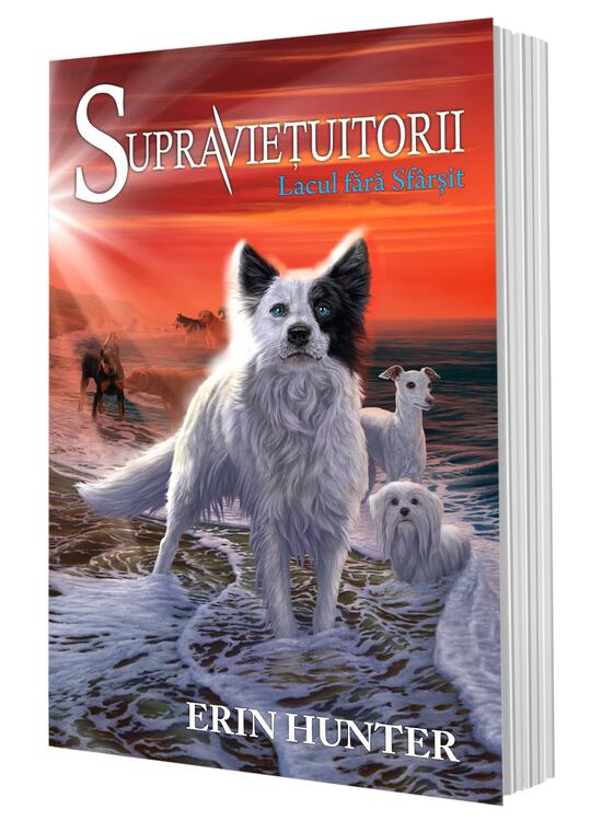 Copertă produs Lacul fără sf&acirc;rșit. Supraviețuitorii (Vol. 5) - gallery big 2