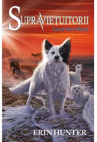 Copertă produs Lacul fără sf&acirc;rșit. Supraviețuitorii (Vol. 5)