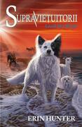 Lacul fără sf&acirc;rșit. Supraviețuitorii (Vol. 5)