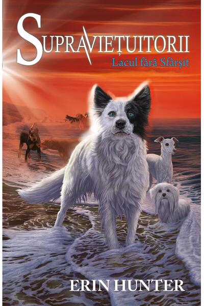 Lacul fără sf&acirc;rșit. Supraviețuitorii (Vol. 5)