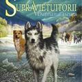 Copertă produs Duşmanul ascuns. Supravieţuitorii (Vol. 2) - gallery small 