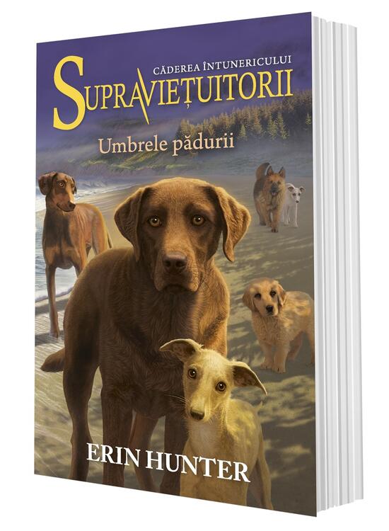 Copertă produs Umbrele pădurii. Supravieţuitorii (Vol. 9) - gallery big 3