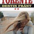 Copertă produs Torente Vol. 2: Destin fr&acirc;nt - gallery small 