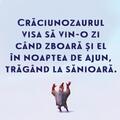 Copertă produs Crăciunozaurul - gallery small 
