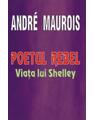 Copertă produs Poetul rebel - Viața lui Shelley - thumb 1