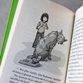 Copertă produs Ramona și tata (Vol. 4) - gallery small 