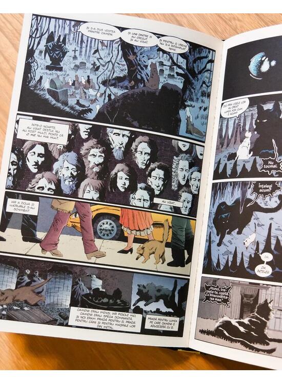 Copertă produs Țara Visului. Sandman (Vol. 3) - gallery big 4
