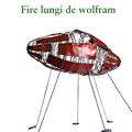 Copertă produs Fire lungi de wolfram - gallery small 