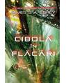 Copertă produs Cibola &icirc;n flăcări (Vol. 4) - thumb 1