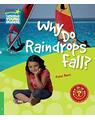 Copertă produs Why Do Raindrops Fall? Level 3 Factbook - thumb 1