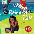 Copertă produs Why Do Raindrops Fall? Level 3 Factbook - gallery small 