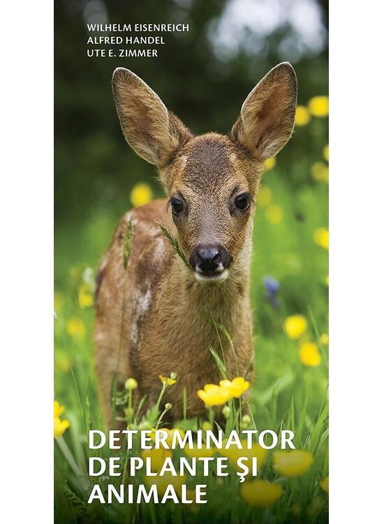 Copertă produs Determinator de plante și animale - gallery big 1
