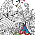 Copertă produs Semne de carte de colorat. Pene - gallery small 