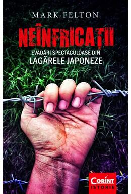 Copertă produs Ne&icirc;nfricații