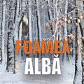 Copertă produs Foamea Albă - gallery small 