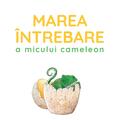 Copertă produs Marea &icirc;ntrebare a micului cameleon - gallery small 