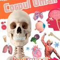 Copertă produs &Icirc;nvață! Corpul Uman - gallery small 
