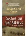 Copertă produs Pustiul din Pine Barrens - thumb 1