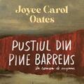 Copertă produs Pustiul din Pine Barrens - gallery small 