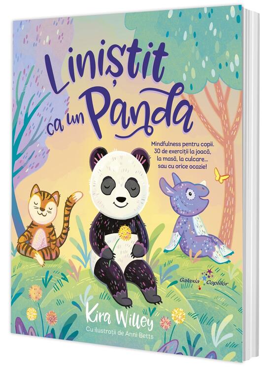 Copertă produs Liniștit ca un Panda - gallery big 3