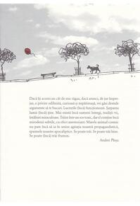 Copertă produs Despre frumuseţea uitată a vieţii