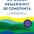 Copertă produs Un ocean nemărginit de Conștiință - gallery small 