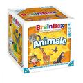 Copertă produs BrainBox - Animale - gallery small 