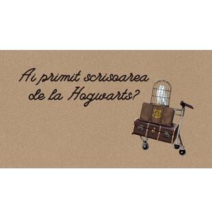 Descoperă magia lui Harry Potter!