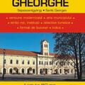 Copertă produs Hartă rutieră Sf&acirc;ntu Gheorghe - gallery small 
