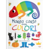 Copertă produs Marea carte despre culori