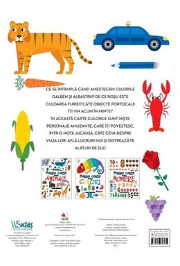 Copertă produs Marea carte despre culori