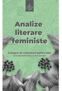 Copertă produs Analize literare feministe