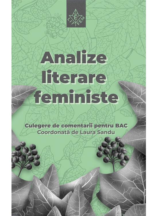 Copertă produs Analize literare feministe - gallery big 1